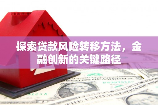 海兴探索贷款风险转移方法，金融创新的关键路径