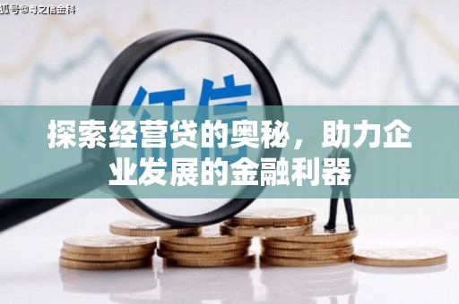 海兴探索经营贷的奥秘，助力企业发展的金融利器