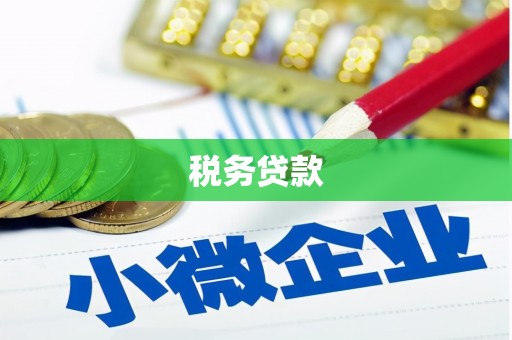 海兴税务贷款
