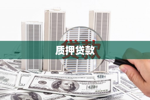海兴质押贷款