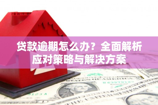 海兴贷款逾期怎么办？全面解析应对策略与解决方案