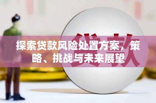 海兴探索贷款风险处置方案，策略、挑战与未来展望