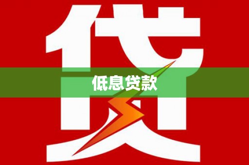 海兴低息贷款