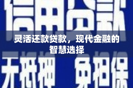 海兴灵活还款贷款，现代金融的智慧选择
