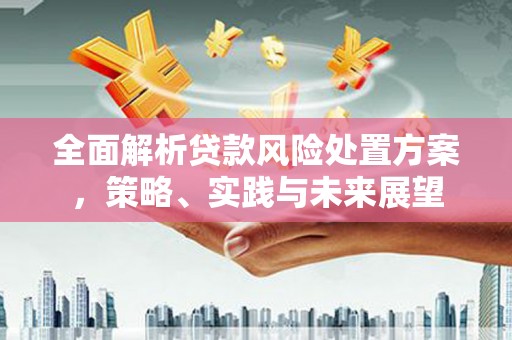 海兴全面解析贷款风险处置方案，策略、实践与未来展望