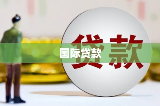 海兴国际贷款