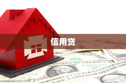 海兴信用贷