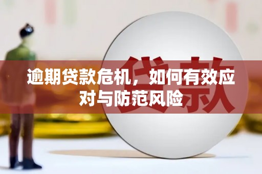 海兴逾期贷款危机，如何有效应对与防范风险