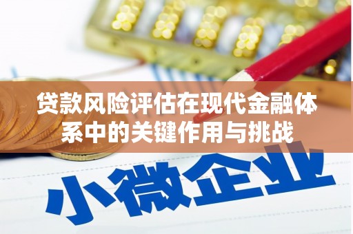 海兴贷款风险评估在现代金融体系中的关键作用与挑战