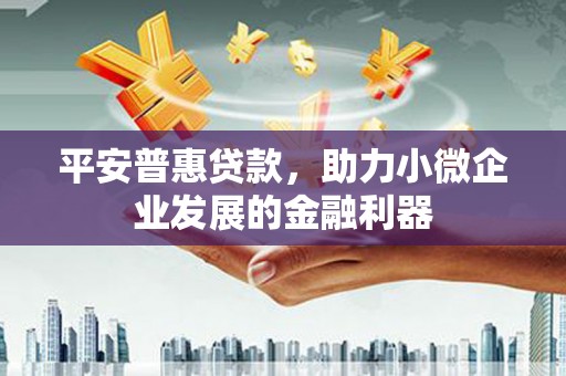 海兴平安普惠贷款，助力小微企业发展的金融利器