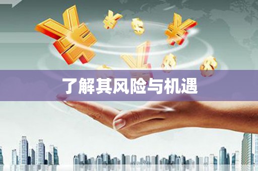 海兴了解其风险与机遇