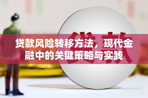 海兴贷款风险转移方法，现代金融中的关键策略与实践