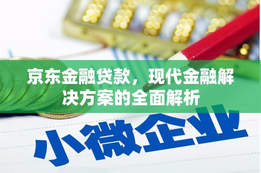 海兴京东金融贷款，现代金融解决方案的全面解析