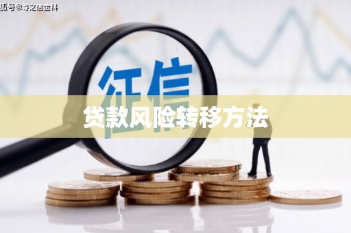 海兴贷款风险转移方法