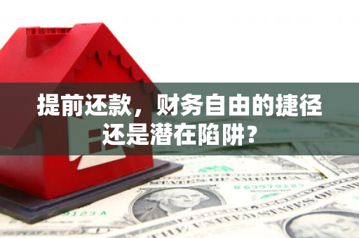 海兴提前还款，财务自由的捷径还是潜在陷阱？