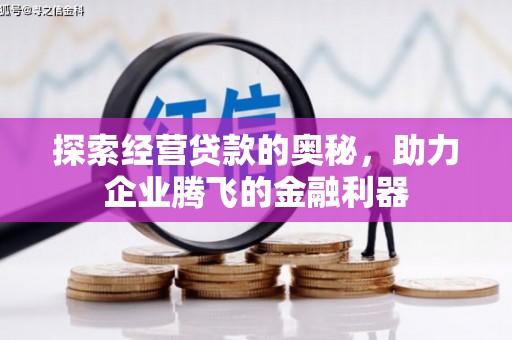 海兴探索经营贷款的奥秘，助力企业腾飞的金融利器