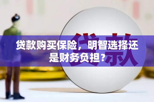 海兴贷款购买保险，明智选择还是财务负担？