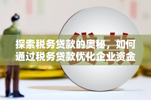 海兴探索税务贷款的奥秘，如何通过税务贷款优化企业资金流
