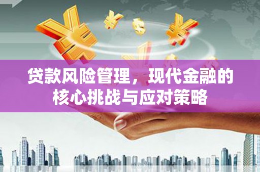 海兴贷款风险管理，现代金融的核心挑战与应对策略