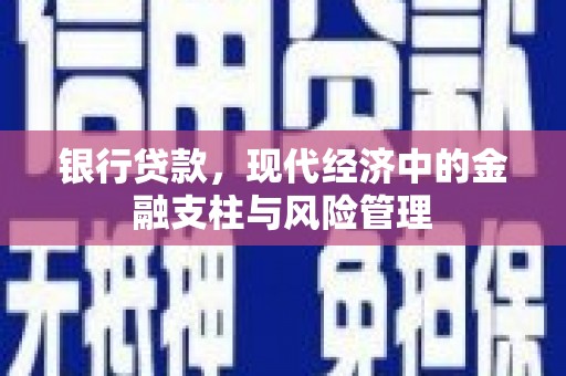 海兴银行贷款，现代经济中的金融支柱与风险管理