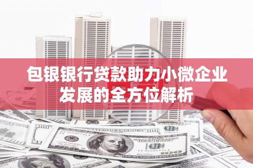 海兴包银银行贷款助力小微企业发展的全方位解析