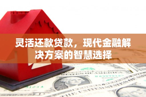 海兴灵活还款贷款，现代金融解决方案的智慧选择