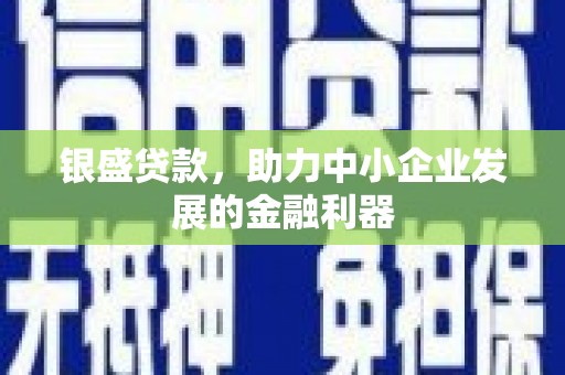 海兴银盛贷款，助力中小企业发展的金融利器