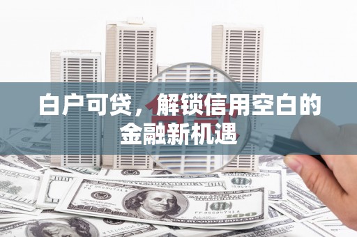 海兴白户可贷，解锁信用空白的金融新机遇