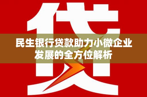 海兴民生银行贷款助力小微企业发展的全方位解析