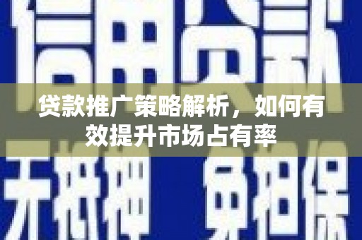 海兴贷款推广策略解析，如何有效提升市场占有率