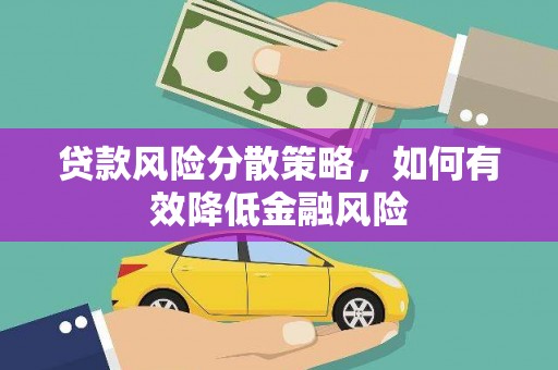 海兴贷款风险分散策略，如何有效降低金融风险