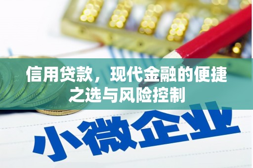 海兴信用贷款，现代金融的便捷之选与风险控制
