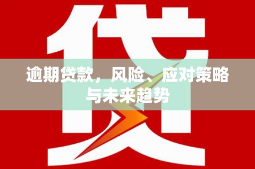 海兴逾期贷款，风险、应对策略与未来趋势