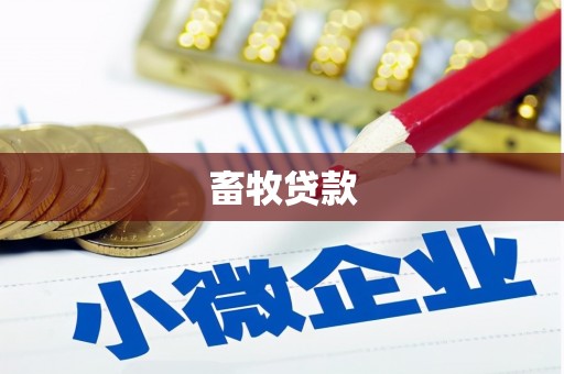 海兴畜牧贷款