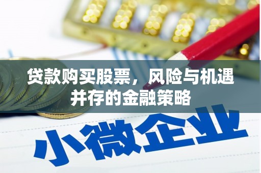海兴贷款购买股票，风险与机遇并存的金融策略