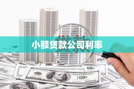 海兴小额贷款公司利率