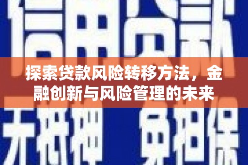 海兴探索贷款风险转移方法，金融创新与风险管理的未来