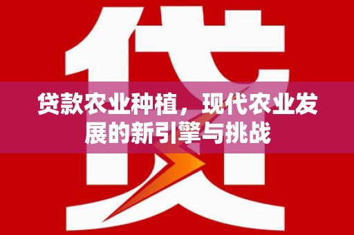 海兴贷款农业种植，现代农业发展的新引擎与挑战