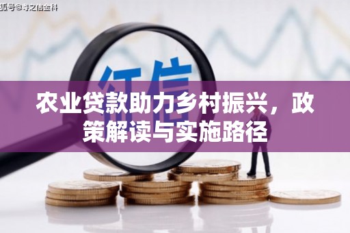 海兴农业贷款助力乡村振兴，政策解读与实施路径