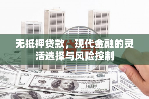 海兴无抵押贷款，现代金融的灵活选择与风险控制