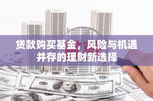 海兴贷款购买基金，风险与机遇并存的理财新选择