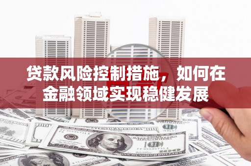 海兴贷款风险控制措施，如何在金融领域实现稳健发展