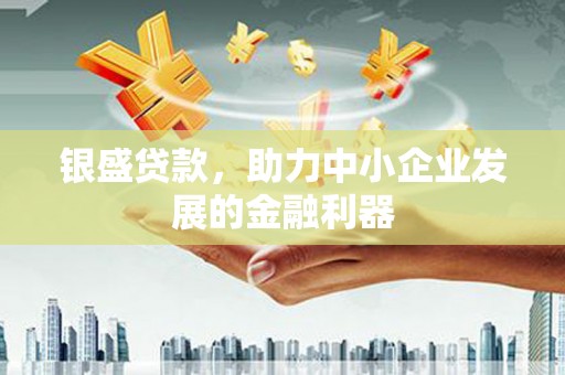 海兴银盛贷款，助力中小企业发展的金融利器
