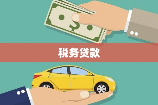 海兴税务贷款