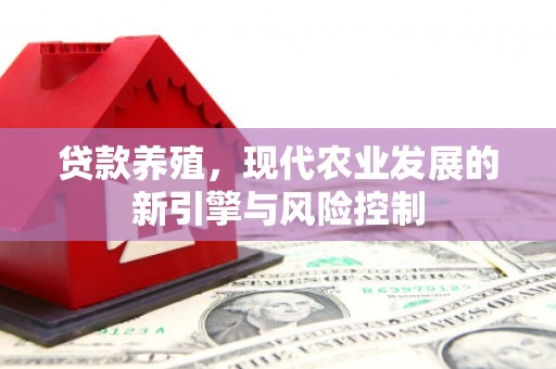 海兴贷款养殖，现代农业发展的新引擎与风险控制