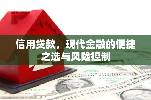 海兴信用贷款，现代金融的便捷之选与风险控制