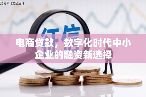 海兴电商贷款，数字化时代中小企业的融资新选择