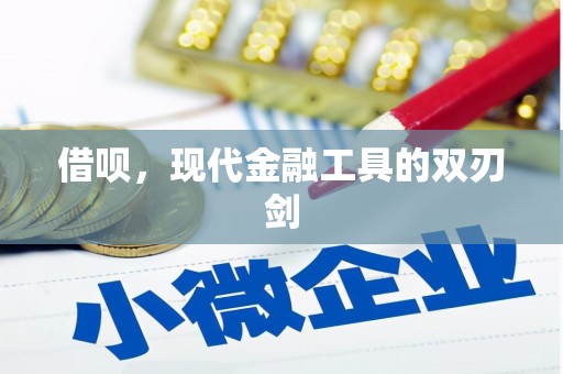 海兴借呗，现代金融工具的双刃剑