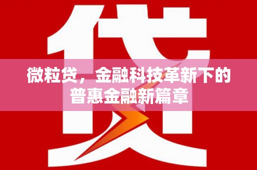 海兴微粒贷，金融科技革新下的普惠金融新篇章
