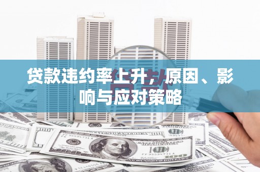 海兴贷款违约率上升，原因、影响与应对策略